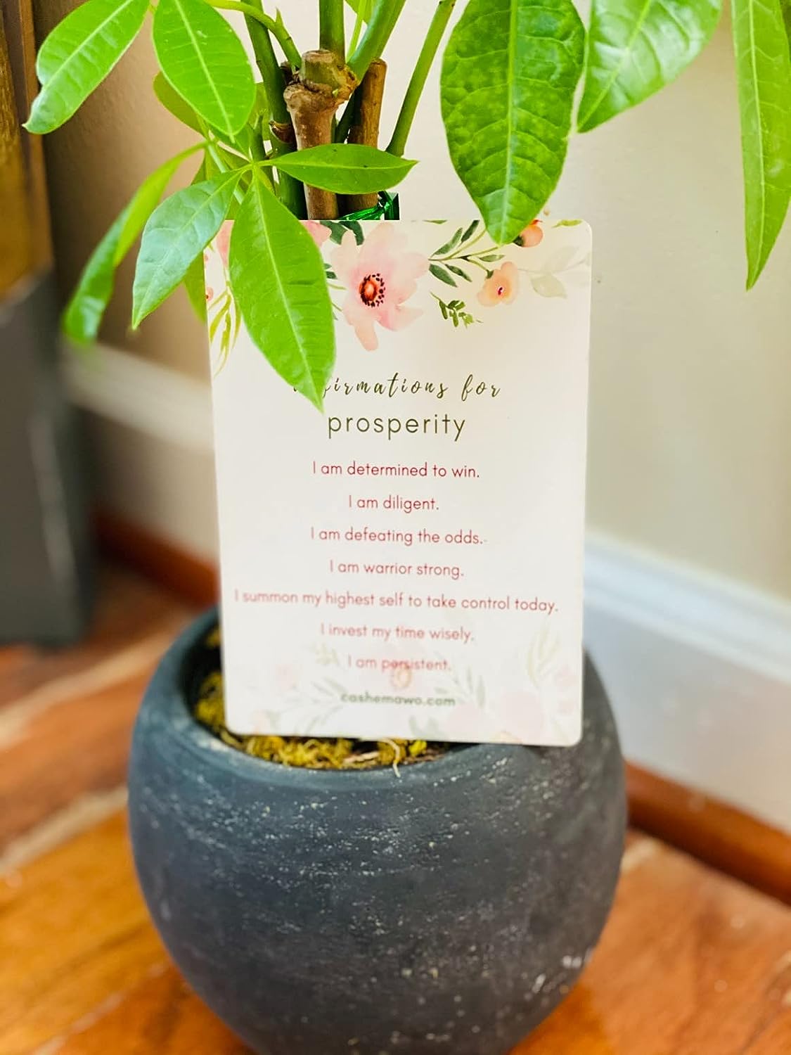 Morning Joy: Daily Affirmation Cards